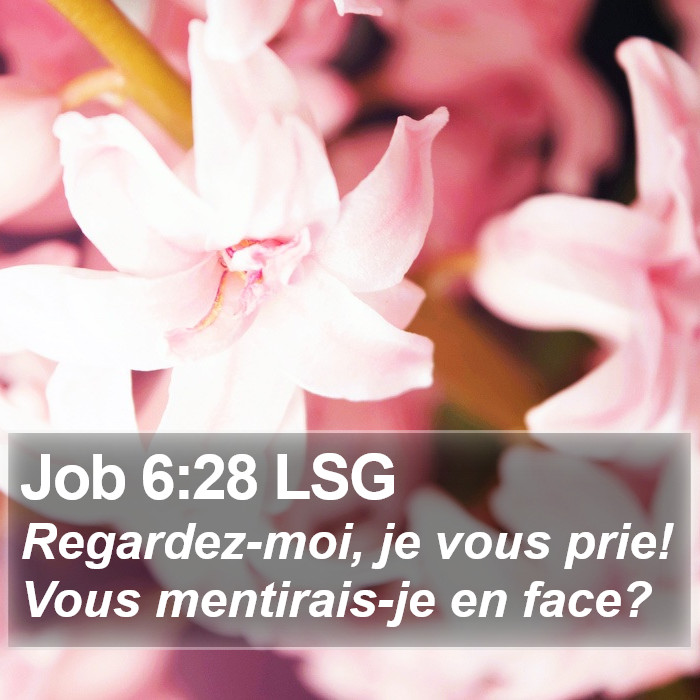 Job 6:28 LSG Bible Study