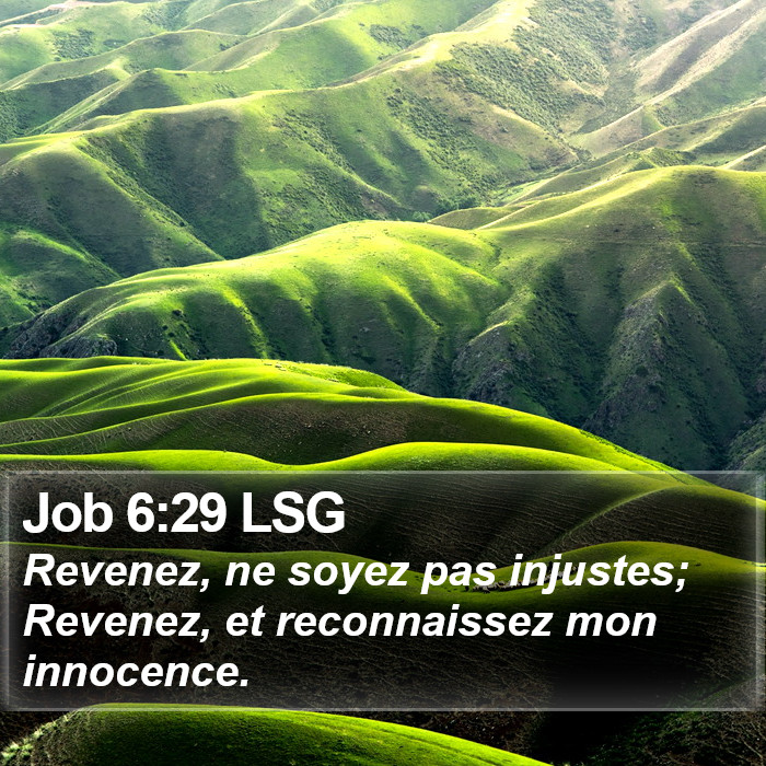 Job 6:29 LSG Bible Study