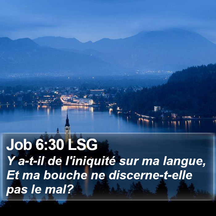 Job 6:30 LSG Bible Study