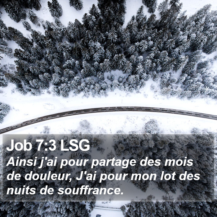 Job 7:3 LSG Bible Study