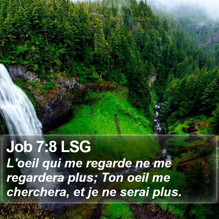 Job 7:8 LSG Bible Study