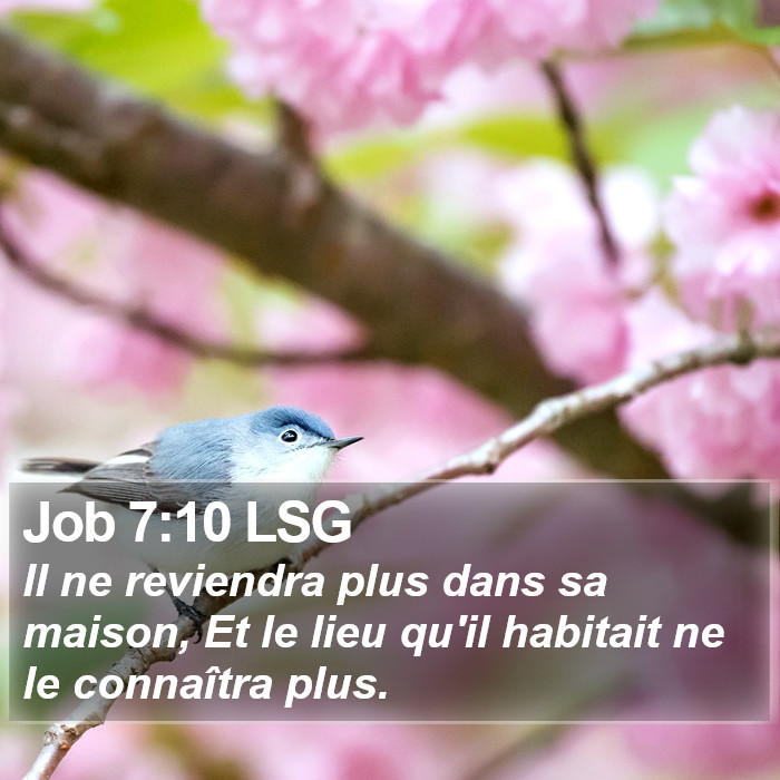 Job 7:10 LSG Bible Study