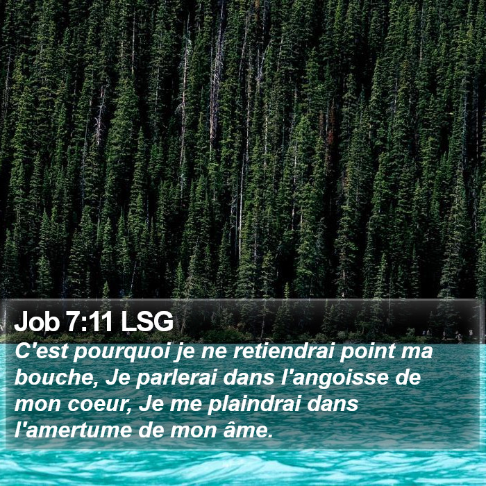 Job 7:11 LSG Bible Study