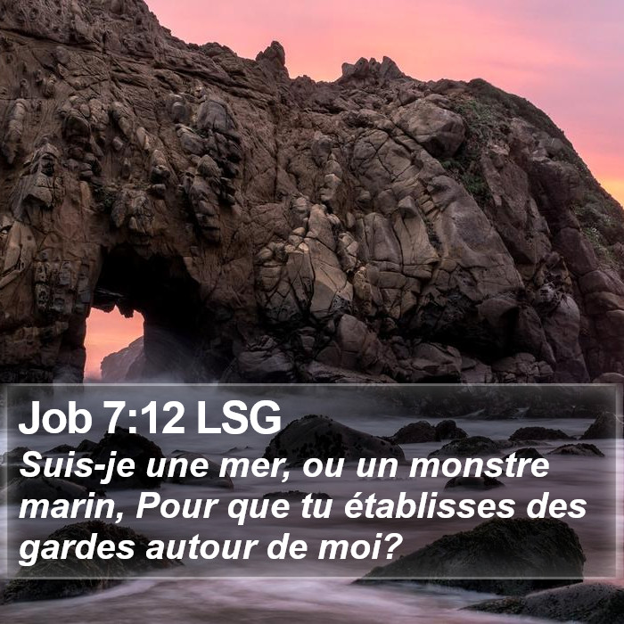 Job 7:12 LSG Bible Study