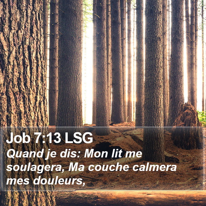 Job 7:13 LSG Bible Study