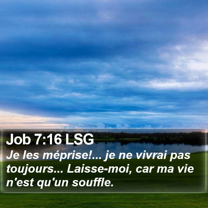 Job 7:16 LSG Bible Study