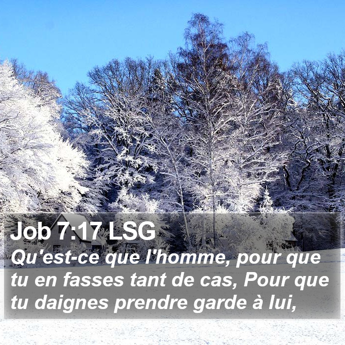 Job 7:17 LSG Bible Study