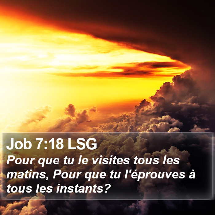 Job 7:18 LSG Bible Study