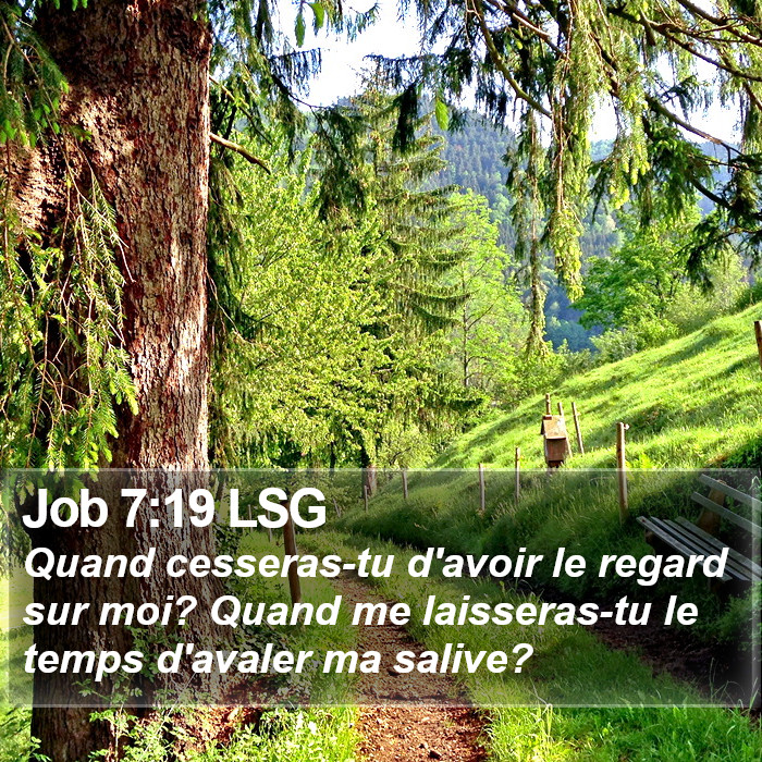 Job 7:19 LSG Bible Study