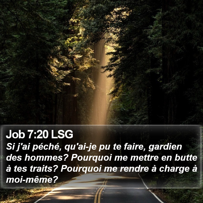 Job 7:20 LSG Bible Study