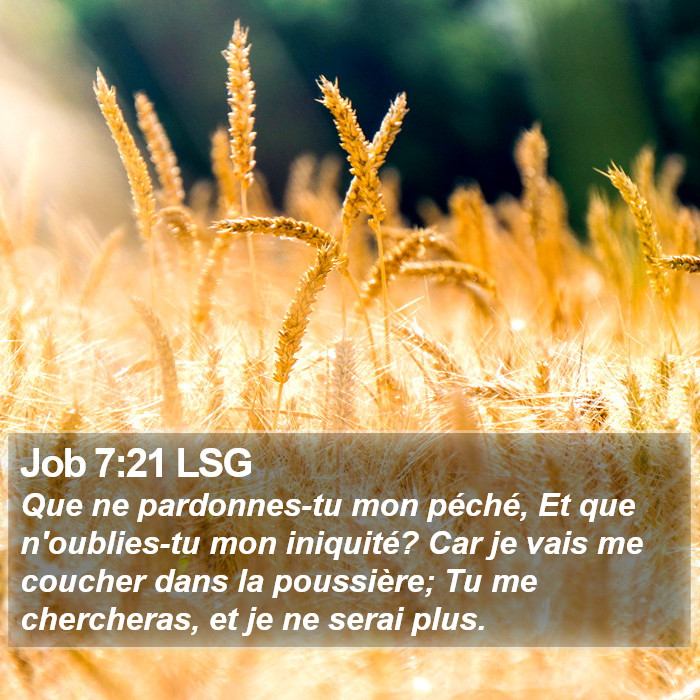 Job 7:21 LSG Bible Study