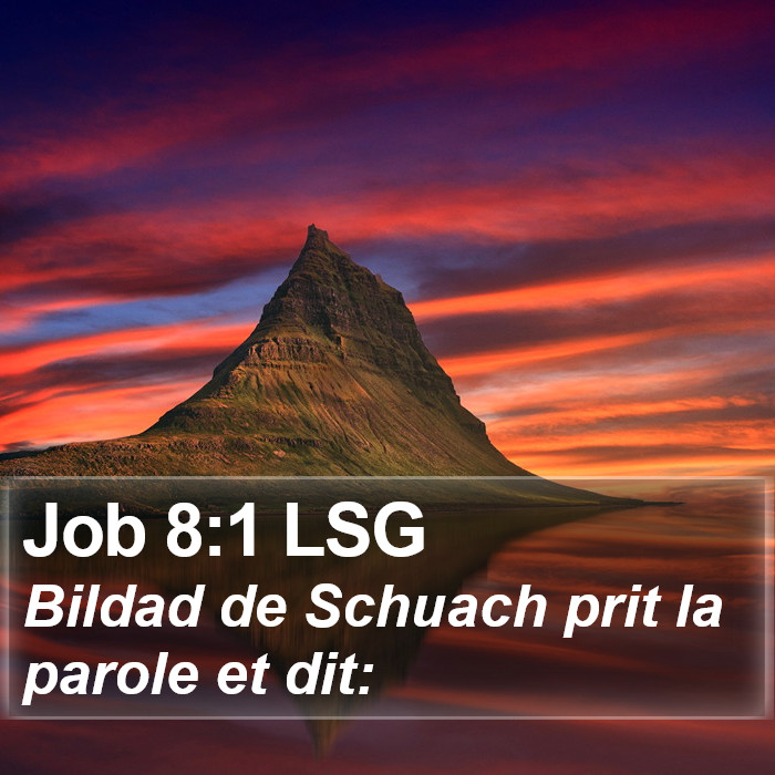 Job 8:1 LSG Bible Study