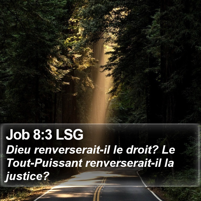 Job 8:3 LSG Bible Study