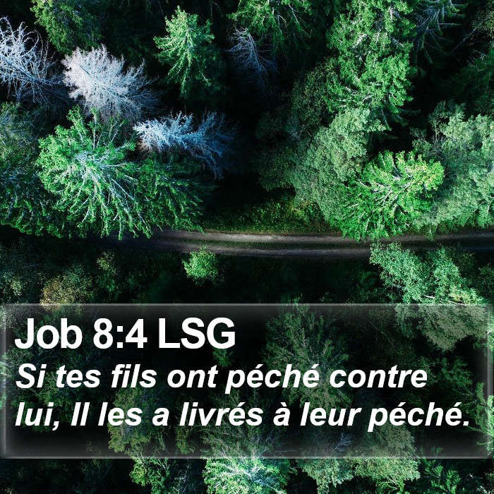 Job 8:4 LSG Bible Study