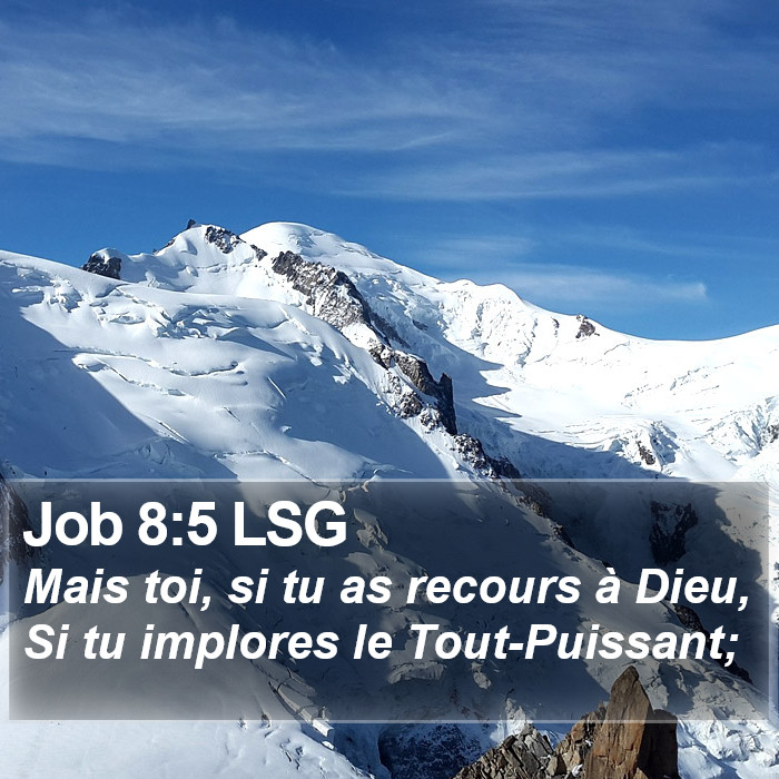 Job 8:5 LSG Bible Study