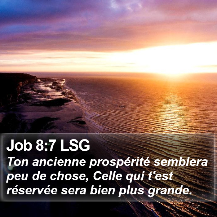 Job 8:7 LSG Bible Study