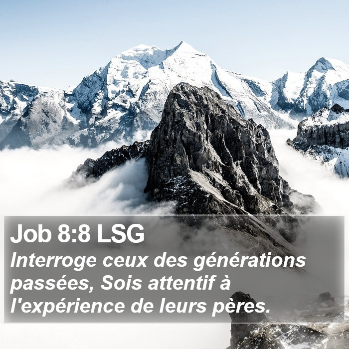 Job 8:8 LSG Bible Study