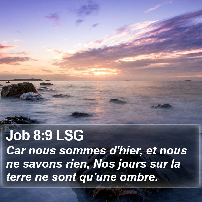 Job 8:9 LSG Bible Study