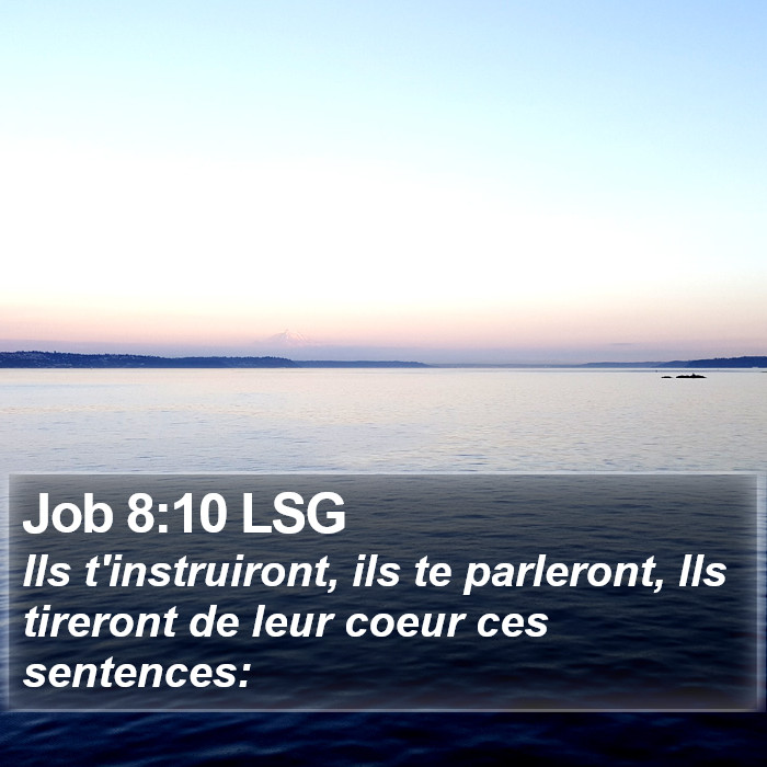 Job 8:10 LSG Bible Study