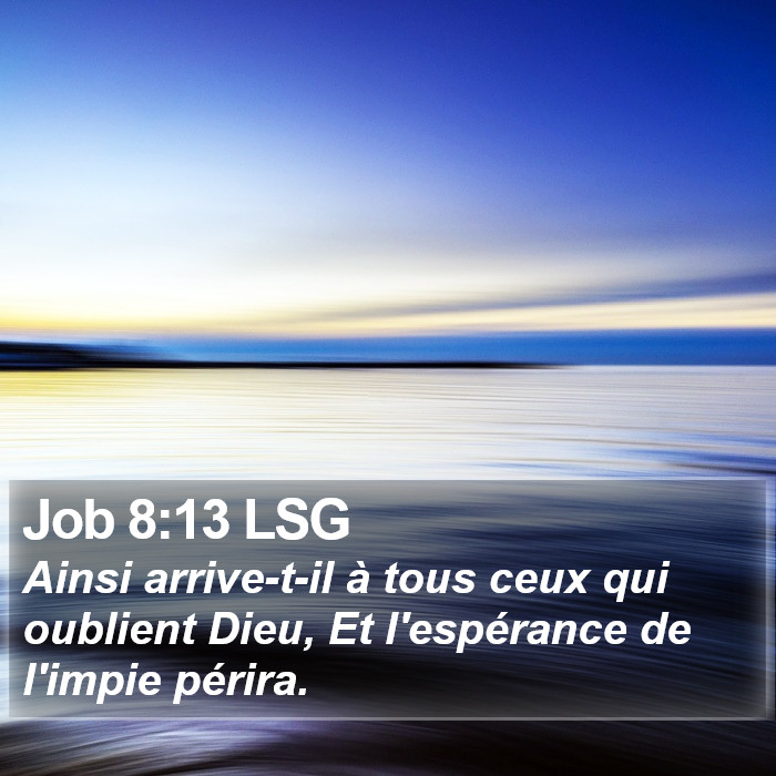 Job 8:13 LSG Bible Study