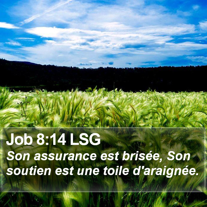 Job 8:14 LSG Bible Study