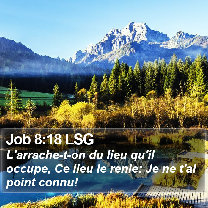 Job 8:18 LSG Bible Study