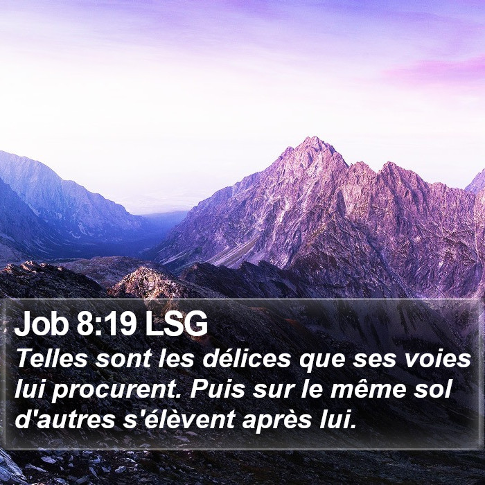 Job 8:19 LSG Bible Study