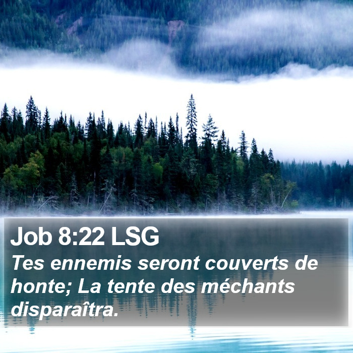 Job 8:22 LSG Bible Study