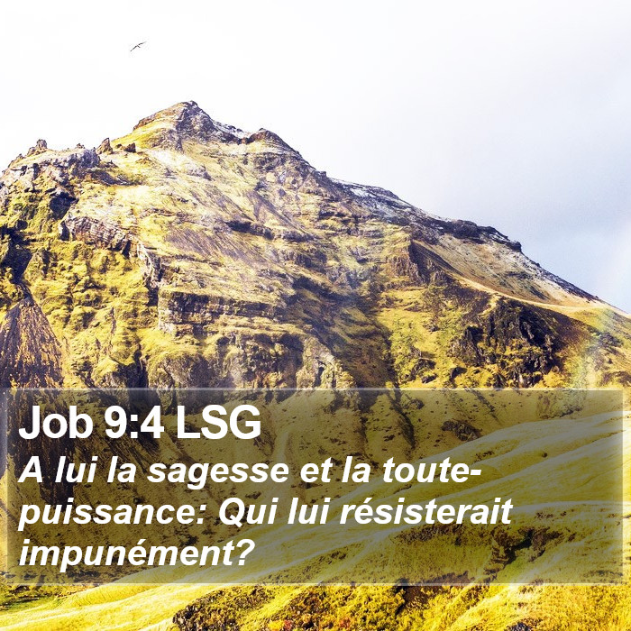 Job 9:4 LSG Bible Study