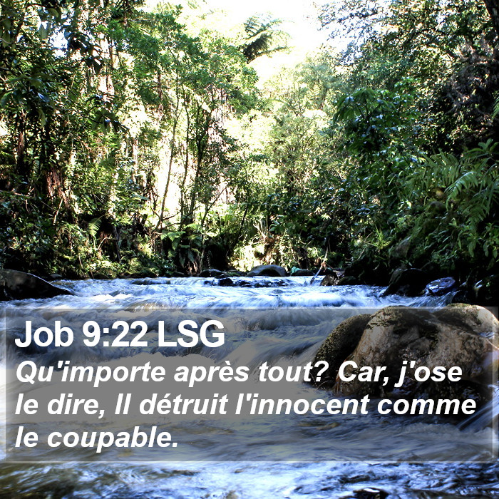 Job 9:22 LSG Bible Study