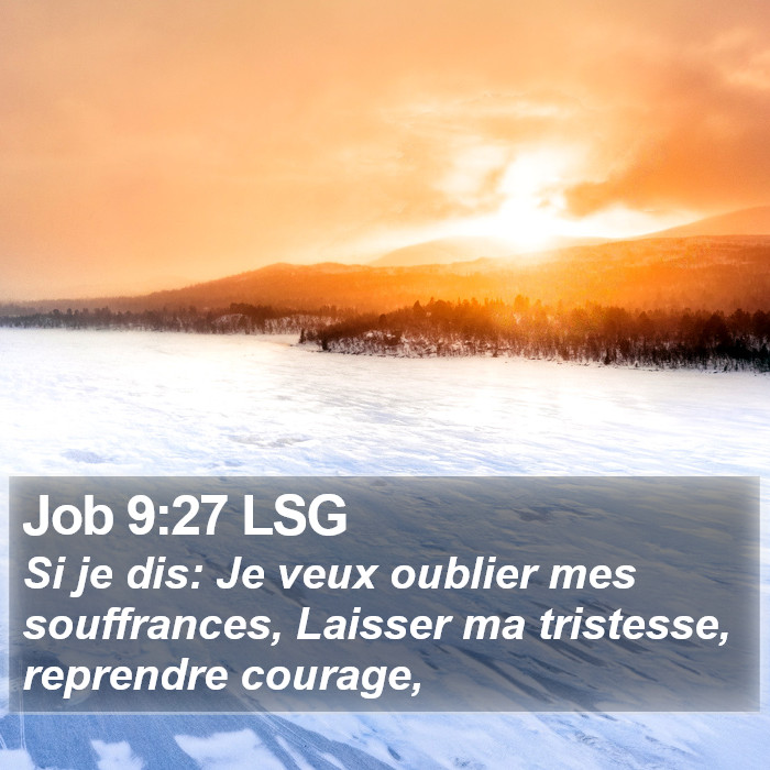Job 9:27 LSG Bible Study