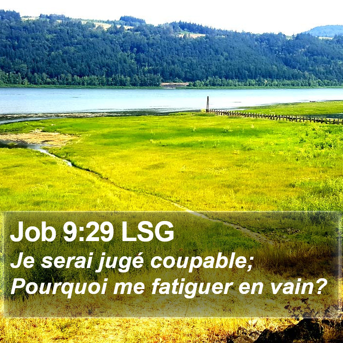 Job 9:29 LSG Bible Study