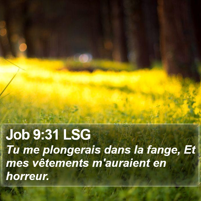 Job 9:31 LSG Bible Study