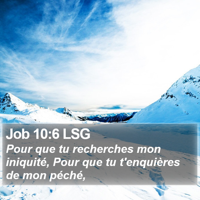 Job 10:6 LSG Bible Study