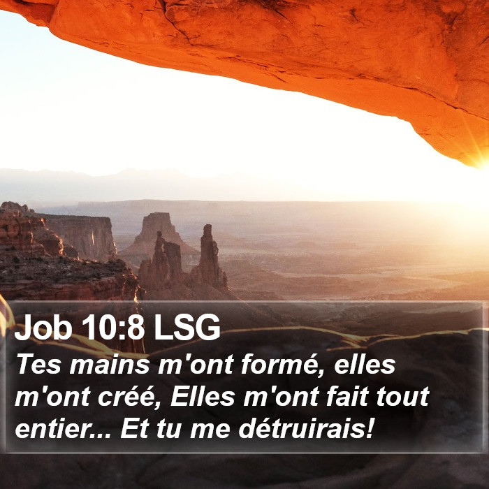 Job 10:8 LSG Bible Study