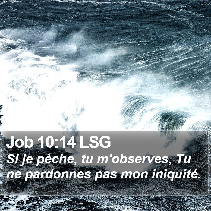 Job 10:14 LSG Bible Study