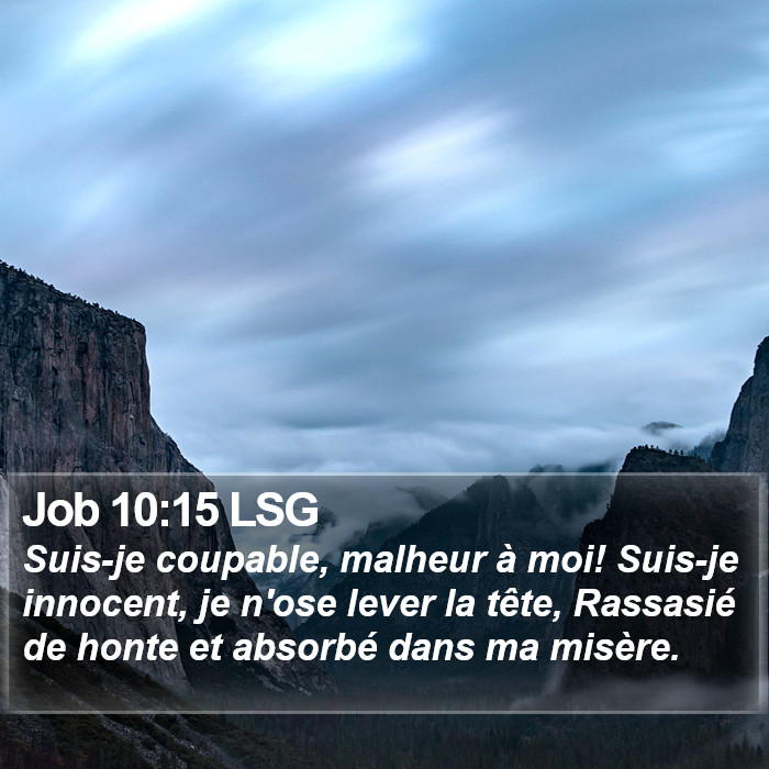 Job 10:15 LSG Bible Study