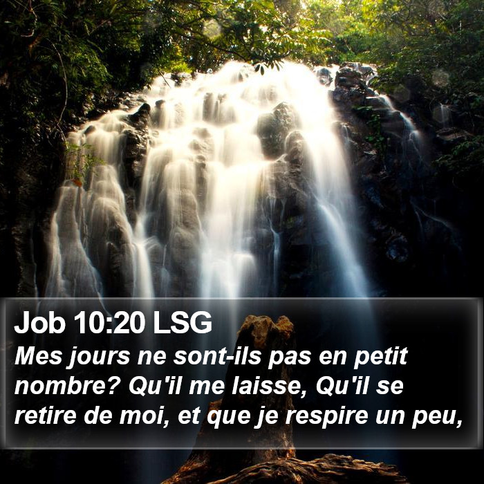 Job 10:20 LSG Bible Study