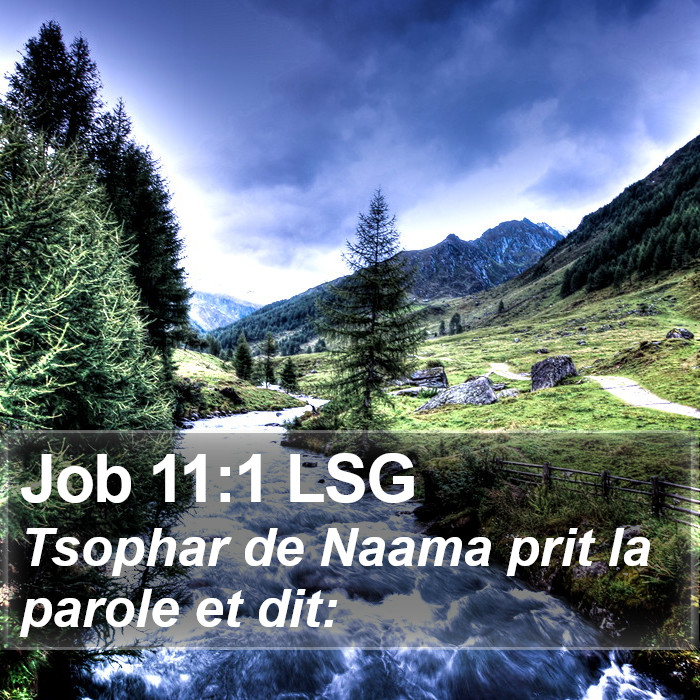 Job 11:1 LSG Bible Study