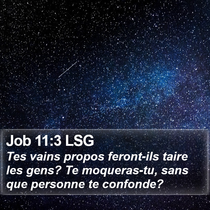 Job 11:3 LSG Bible Study