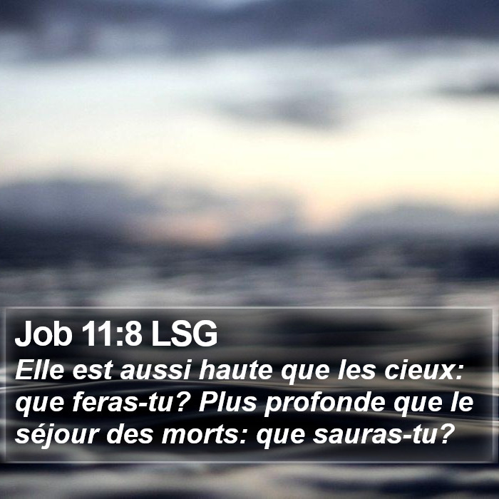 Job 11:8 LSG Bible Study