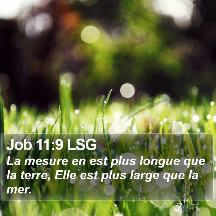 Job 11:9 LSG Bible Study