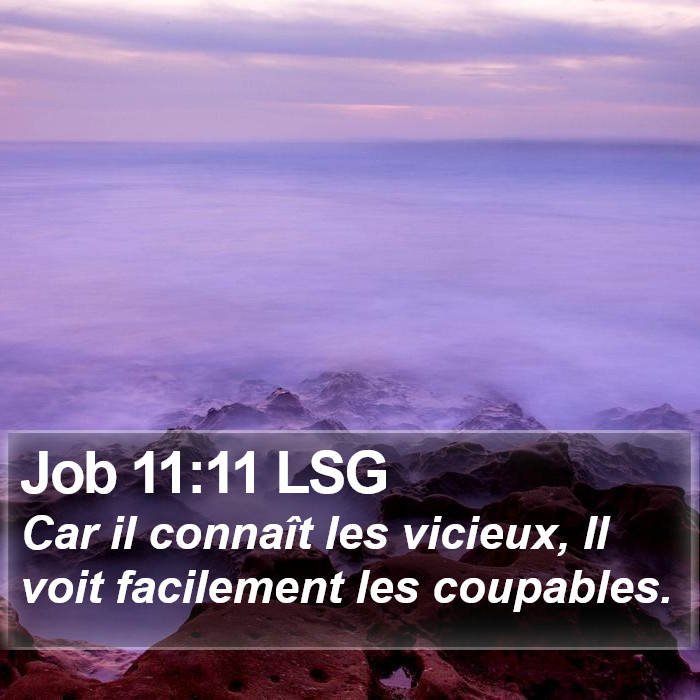 Job 11:11 LSG Bible Study