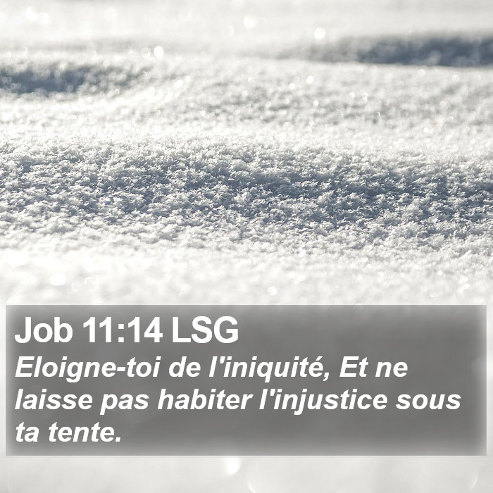 Job 11:14 LSG Bible Study