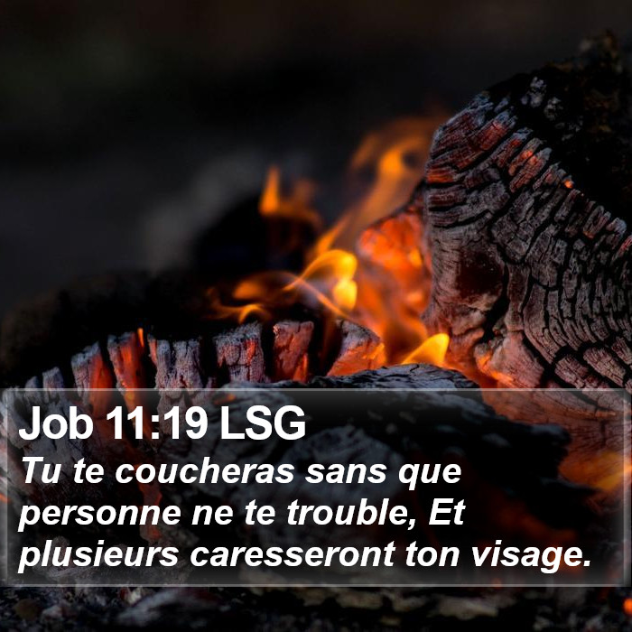 Job 11:19 LSG Bible Study