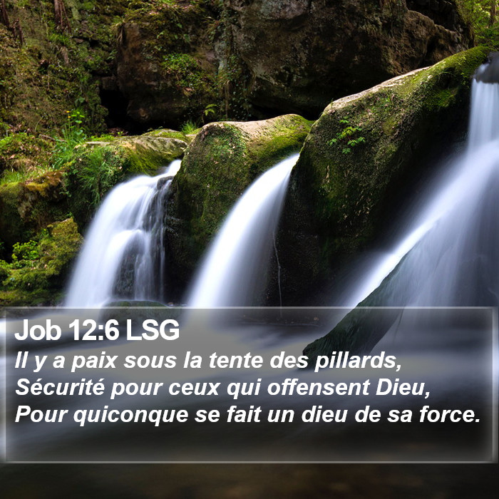 Job 12:6 LSG Bible Study