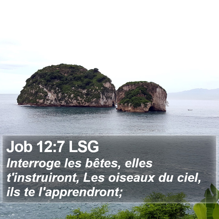 Job 12:7 LSG Bible Study