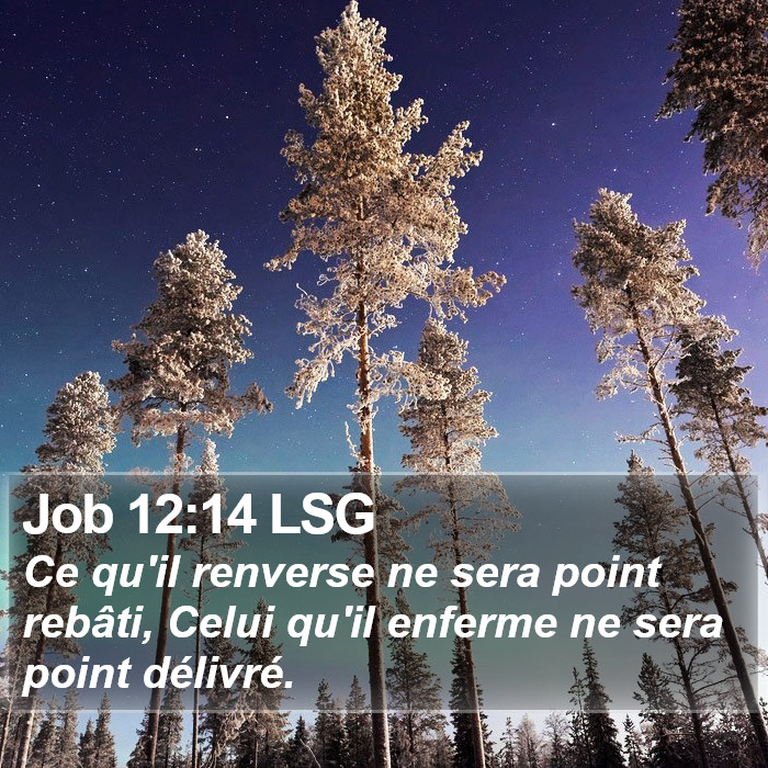 Job 12:14 LSG Bible Study