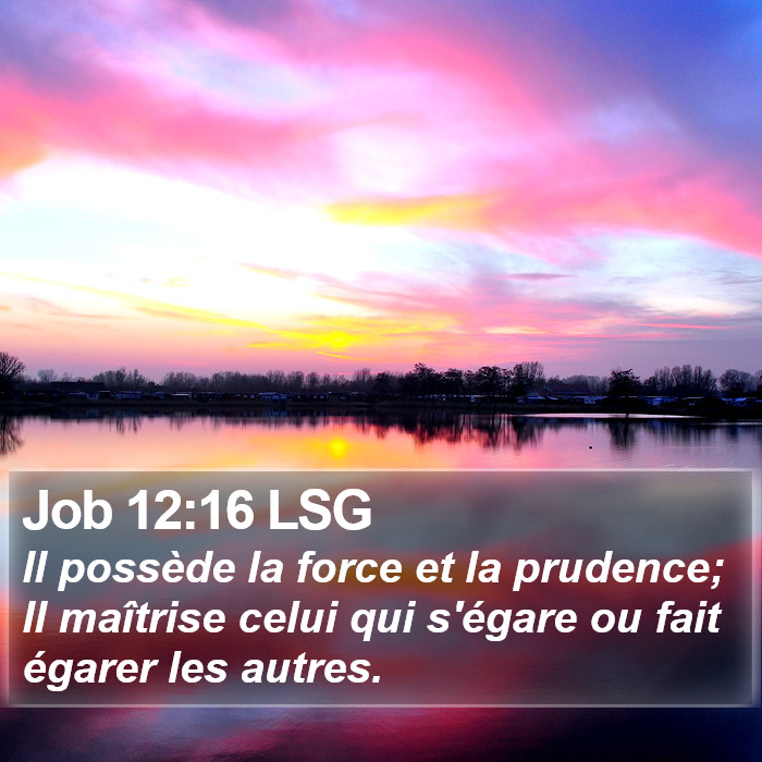 Job 12:16 LSG Bible Study