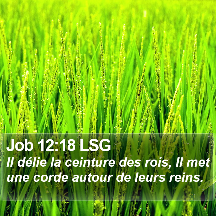 Job 12:18 LSG Bible Study